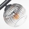 Koyoto ceiling light, globe light Amber, clear, Smoke-coloured, 6-light sources