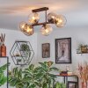 Koyoto ceiling light, globe light Amber, clear, Smoke-coloured, 6-light sources