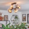 Koyoto ceiling light, globe light Amber, clear, Smoke-coloured, 6-light sources