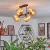Koyoto ceiling light, globe light Amber, 6-light sources