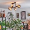 Koyoto ceiling light, globe light Amber, clear, Smoke-coloured, 6-light sources