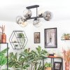 Koyoto ceiling light, globe light Amber, clear, Smoke-coloured, 6-light sources