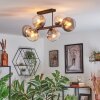 Koyoto ceiling light, globe light Amber, clear, Smoke-coloured, 6-light sources