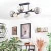 Koyoto ceiling light, globe light Amber, clear, Smoke-coloured, 6-light sources