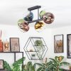 Koyoto ceiling light, globe light blue, gold, green, clear, coppery, 6-light sources