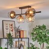 Koyoto ceiling light, globe light Amber, clear, Smoke-coloured, 5-light sources