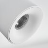 Narel ceiling light, ceiling spotlight LED white, 2-light sources