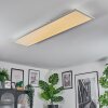 Orain ceiling light, Panel LED white, 1-light source, Colour changer