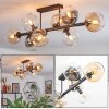 Koyoto ceiling light, globe light Amber, clear, Smoke-coloured, 8-light sources