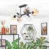 Koyoto ceiling light, globe light Amber, clear, Smoke-coloured, 8-light sources