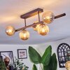 Chehalis ceiling light, globe light black, 5-light sources