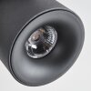 Narel ceiling light, ceiling spotlight LED black, 2-light sources