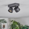 Narel ceiling light, ceiling spotlight LED black, 2-light sources