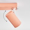 Javel ceiling light, ceiling spotlight pink, white, 4-light sources