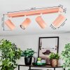 Javel ceiling light, ceiling spotlight pink, white, 4-light sources