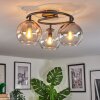 Koyoto ceiling light, globe light Amber, clear, Smoke-coloured, 3-light sources