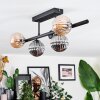 Chehalis ceiling light, globe light black, 5-light sources