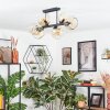 Ripoll ceiling light, globe light Amber, clear, 6-light sources