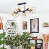Ripoll ceiling light, globe light Amber, clear, 6-light sources