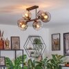 Ripoll ceiling light, globe light clear, Smoke-coloured, 6-light sources