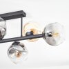 Ripoll ceiling light, globe light Amber, clear, Smoke-coloured, 6-light sources
