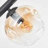 Ripoll ceiling light, globe light Amber, clear, Smoke-coloured, 6-light sources