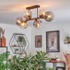 Ripoll ceiling light, globe light Amber, clear, Smoke-coloured, 6-light sources