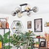 Koyoto ceiling light, globe light Amber, clear, Smoke-coloured, 8-light sources
