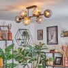 Koyoto ceiling light, globe light Amber, clear, Smoke-coloured, 8-light sources