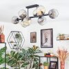 Koyoto ceiling light, globe light Amber, clear, Smoke-coloured, 8-light sources