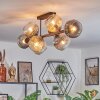 Koyoto ceiling light, globe light Amber, clear, Smoke-coloured, 8-light sources
