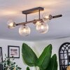 Chehalis ceiling light, globe light clear, 5-light sources