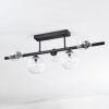 Chehalis ceiling light, globe light clear, 5-light sources