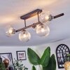 Chehalis ceiling light, globe light clear, 5-light sources