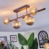 Chehalis ceiling light, globe light Amber, Smoke-coloured, 5-light sources