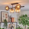 Koyoto ceiling light, globe light Amber, clear, Smoke-coloured, 5-light sources