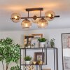 Koyoto ceiling light, globe light Amber, clear, Smoke-coloured, 5-light sources