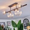 Chehalis ceiling light, globe light clear, 5-light sources
