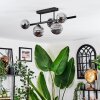 Chehalis ceiling light, globe light Smoke-coloured, 5-light sources