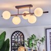 Chehalis ceiling light, globe light white, 5-light sources