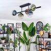Chehalis ceiling light, globe light blue, green, clear, coppery, 5-light sources