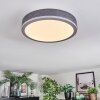 Salmi ceiling light, Panel LED grey, silver, 1-light source