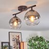 Koyoto ceiling light, globe light clear, Smoke-coloured, 2-light sources