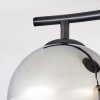 Koyoto ceiling light, globe light Amber, Smoke-coloured, 2-light sources