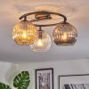 Ripoll ceiling light, globe light Amber, clear, Smoke-coloured, 3-light sources