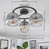 Ripoll ceiling light, globe light clear, Smoke-coloured, 3-light sources