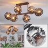Ripoll ceiling light, globe light Smoke-coloured, 6-light sources