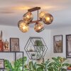 Ripoll ceiling light, globe light Amber, Smoke-coloured, 6-light sources