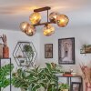 Ripoll ceiling light, globe light Amber, Smoke-coloured, 6-light sources