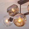 Ripoll ceiling light, globe light Amber, clear, Smoke-coloured, 6-light sources
